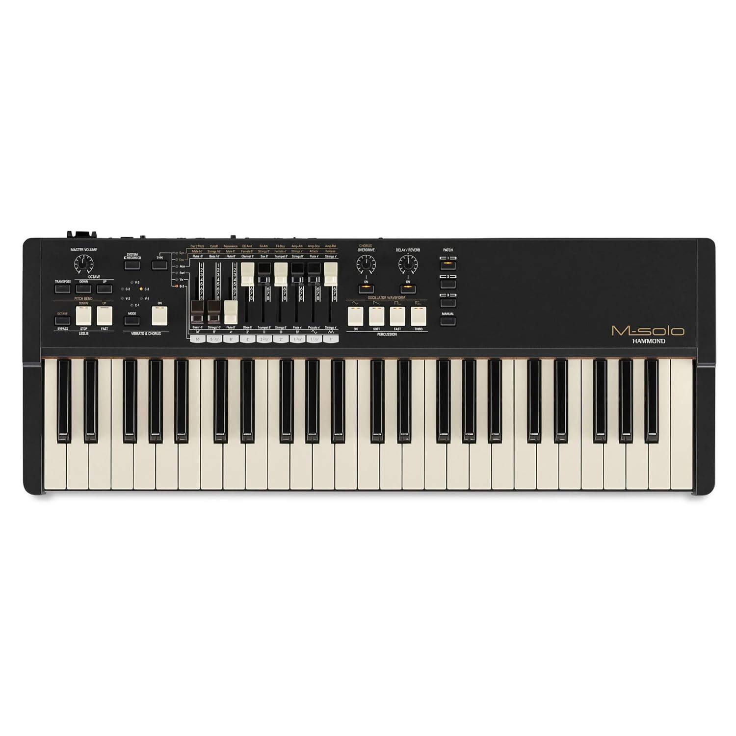Amazon.com: Hammond M-Solo Portable Organ - Black : Musical